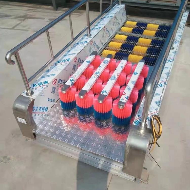 雙通道洗靴機